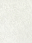 Wyatt 11001 Faux Leather Barrow Fabric